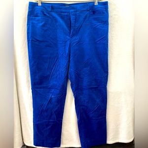 Banana Republic Sloan Velvet Cobalt Women’s Pants Size 16